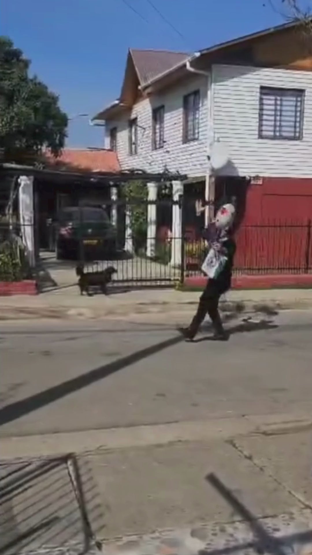 Cargar video: 